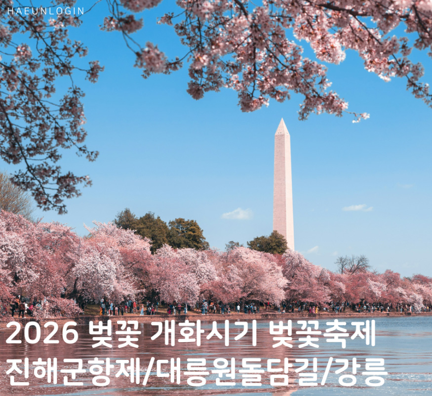2026 벚꽃 개화시기 총정리 전국 벚꽃 지도와 진해군항제 경주 강릉 축제 완벽 가이드