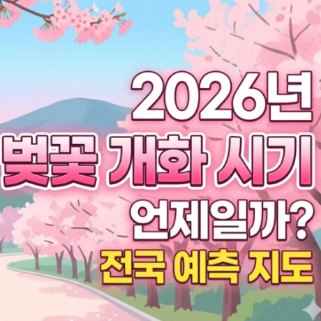 2026년 벚꽃 개화 시기 총정리｜서울·부산·제주 벚꽃 만개 언제? 산림청 예측 지도
