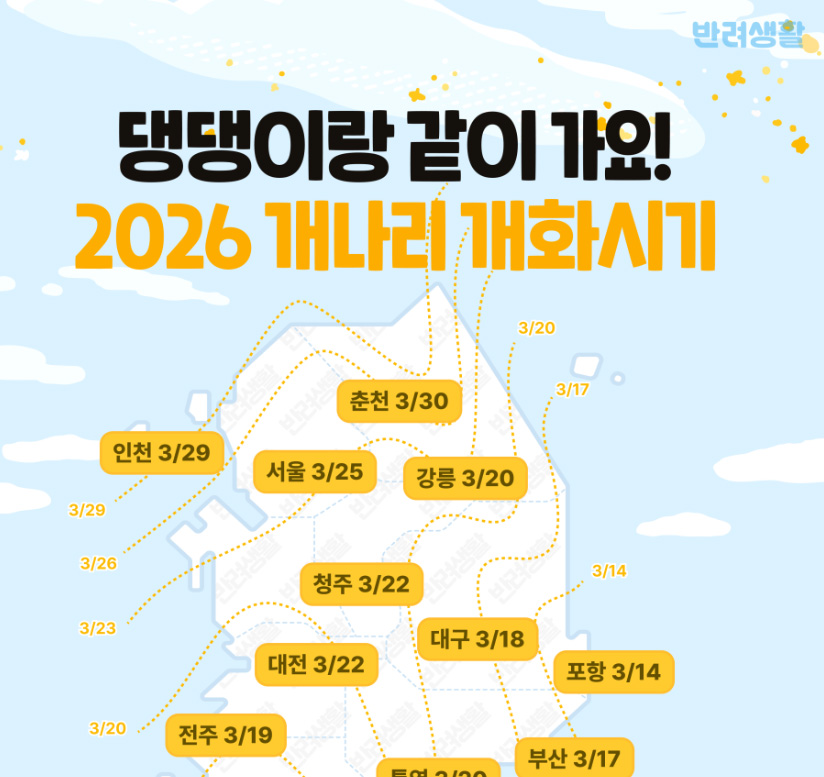 2026 전국 봄꽃 개화 시기 총정리 개나리, 진달래, 벚꽃 개화 지도