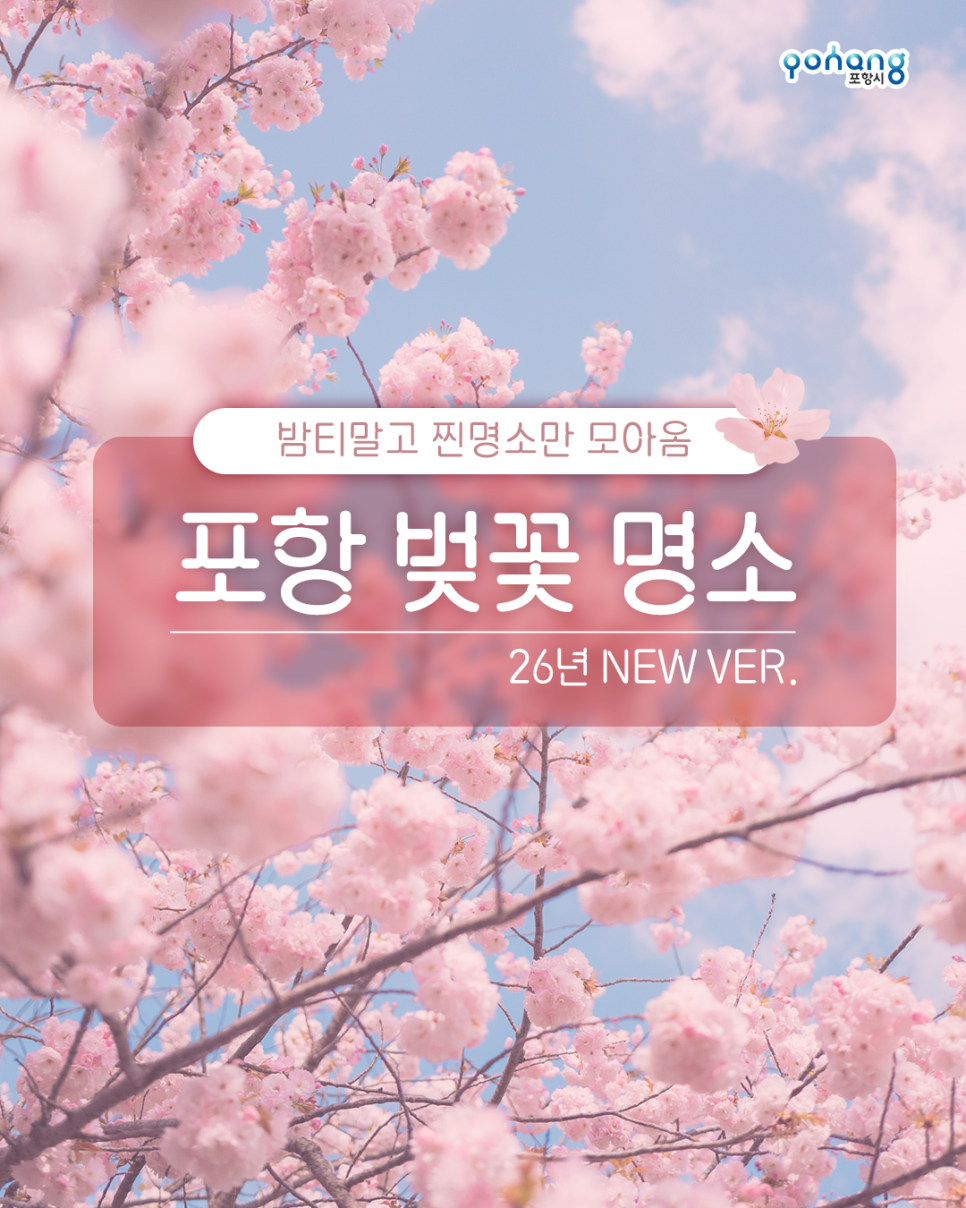 올해도 어김없이 예쁜 벚꽃, 2026 포항 벚꽃 명소 지도 [출처] 올해도 어김없이 예쁜 벚꽃, 2026 포항 벚꽃 명소 지도|