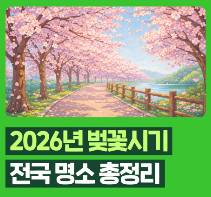 2026년 벚꽃 개화시기 총정리! 벚꽃 시기별 전국 벚꽃 명소
