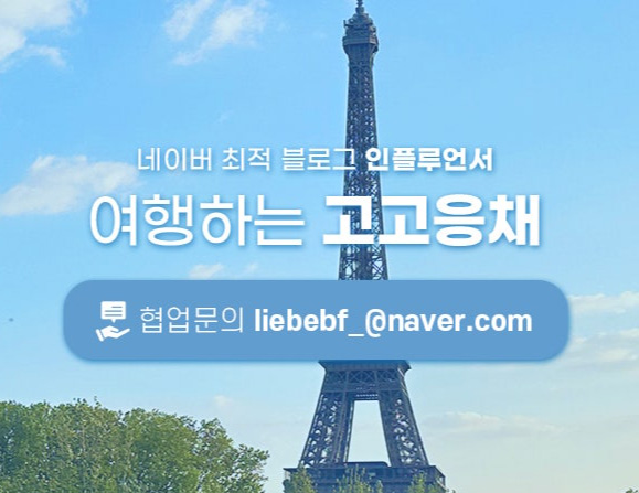 3월 4월 제주 벚꽃 유채꽃 개화시기 여행 날짜